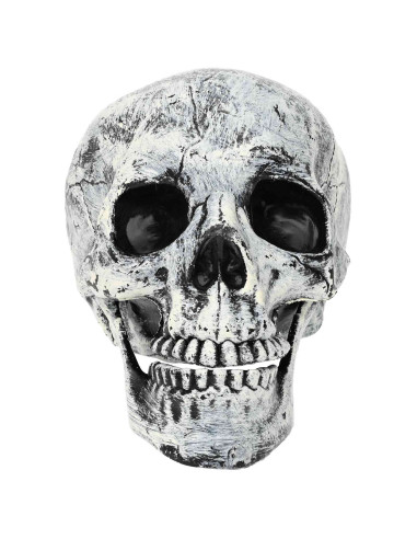 Teschio di Halloween SPOOKA 2 pz Bianco 12 x 15 x 17,5 cm