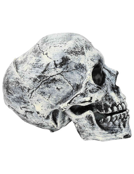 Teschio di Halloween SPOOKA 2 pz Bianco 12 x 15 x 17,5 cm