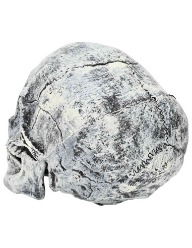 Teschio di Halloween SPOOKA 2 pz Bianco 12 x 15 x 17,5 cm