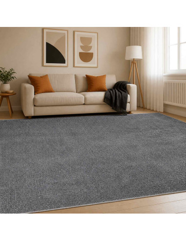 Tappeto Antracite 300 x 400 cm 100% Poliestere 3 mm Lavabile