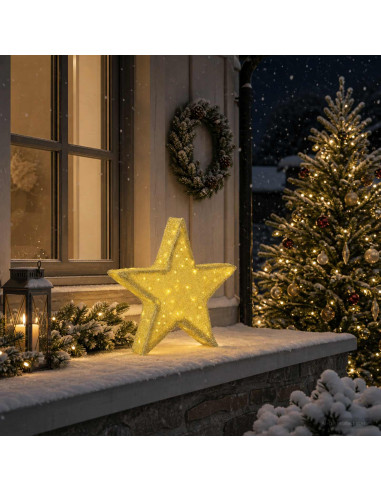 Stella di Natale 3D 50 LED Bianco caldo 55 x 53,5 x 10 cm