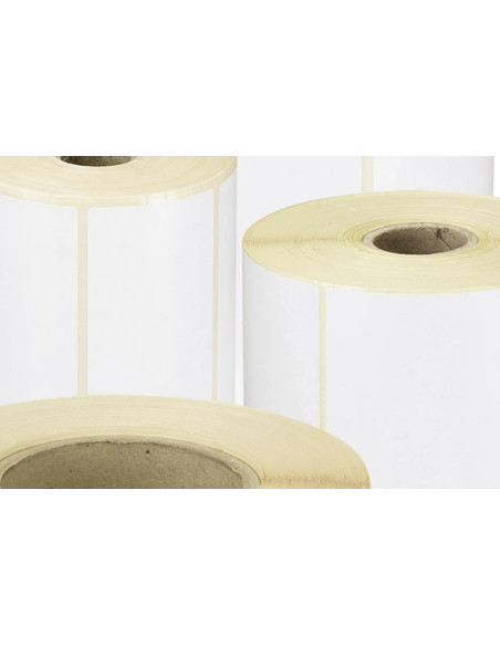 ETICHETTE ZEBRA 100X36MM SINGOLO RO TOLO DA 1050 ETICHETTE CORE 31,75MM