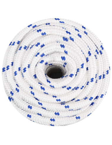 Corda multiuso 20 mm 100 m Bianco e Blu PP