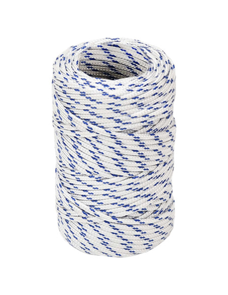 Corda multiuso 2 mm 25 m Bianco e Blu PP 27 kg Carico massimo