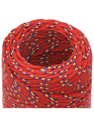 Corda multiuso 2 mm 100 m Rosso PP 27 kg Carico massimo