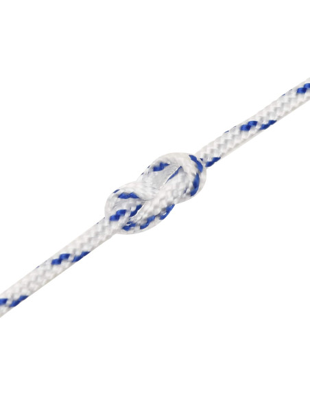 Corda multiuso 2 mm 100 m Bianco e Blu PP 27 kg Carico massimo
