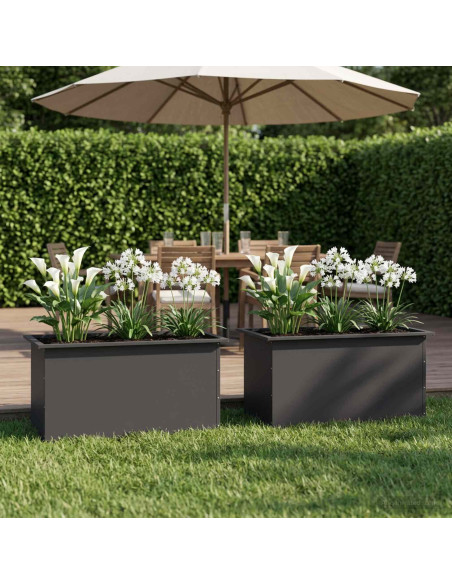 Fioriera da giardino con LED 2 pz Nero 50 x 80 x 48 cm Acciaio