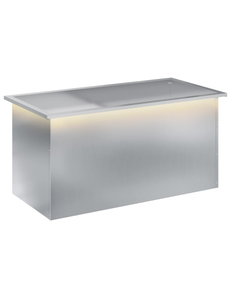 Fioriera da giardino con LED Argento 50 x 100 x 48 cm