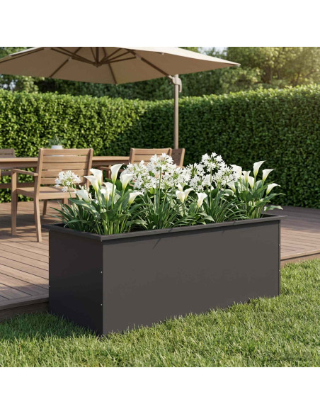 Fioriera da giardino con LED Nero 50 x 100 x 48 cm Acciaio