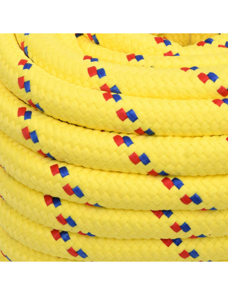 Corda multiuso 20 mm 50 m Giallo PP 2400 kg Carico massimo