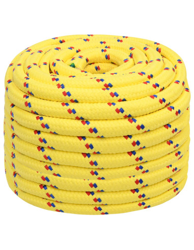 Corda multiuso 20 mm 25 m Giallo PP 2400 kg Carico massimo