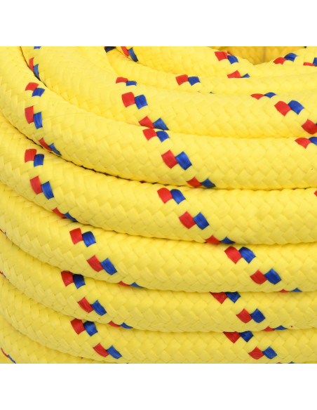 Corda multiuso 20 mm 25 m Giallo PP 2400 kg Carico massimo