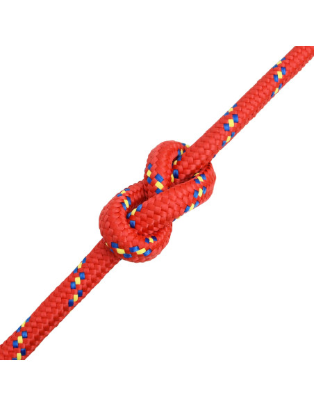 Corda multiuso 20 mm 100 m Rosso PP 2400 kg Carico massimo