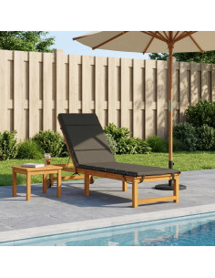 Cuscino per Lettino GEMERT 100% Poliestere Antracite