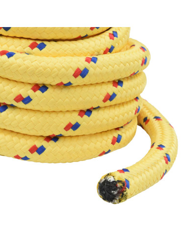 Corda multiuso 30 mm 25 m Giallo PP 5400 kg Carico massimo