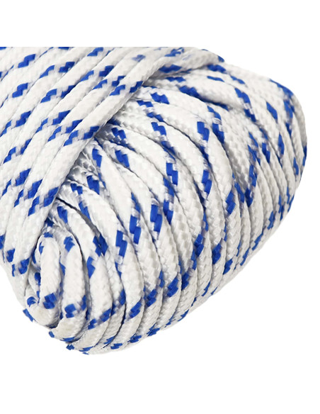Corda multiuso 4 mm 100 m Bianco e Blu PP 105 kg Carico massimo