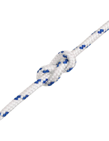 Corda multiuso 5 mm 100 m Bianco e Blu PP 150 kg Carico massimo