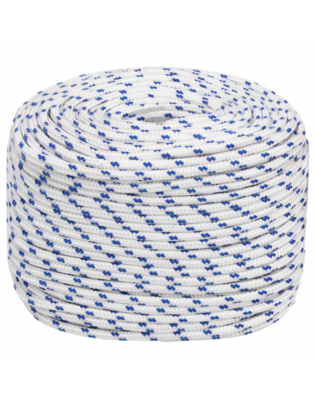 Corda multiuso 6 mm 250 m Bianco e Blu PP 240 kg Carico massimo