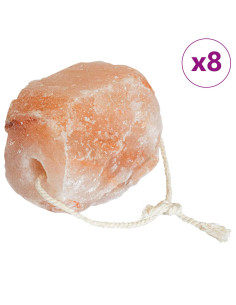 Pietre di Sale da Leccare 8 pz Rosa Sale Rock