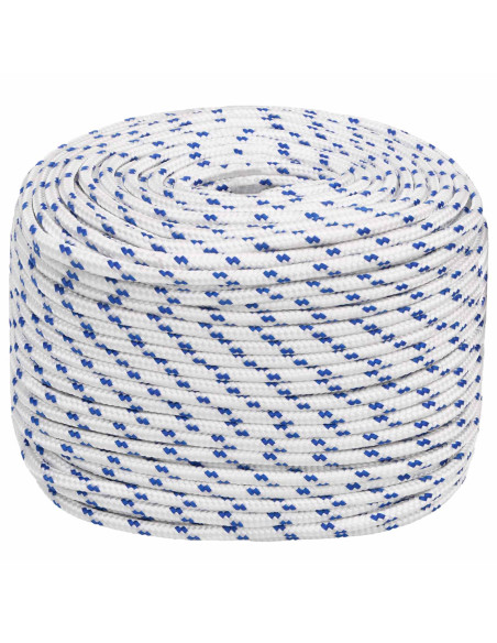 Corda multiuso 8 mm 50 m Bianco e Blu PP 420 kg Carico massimo