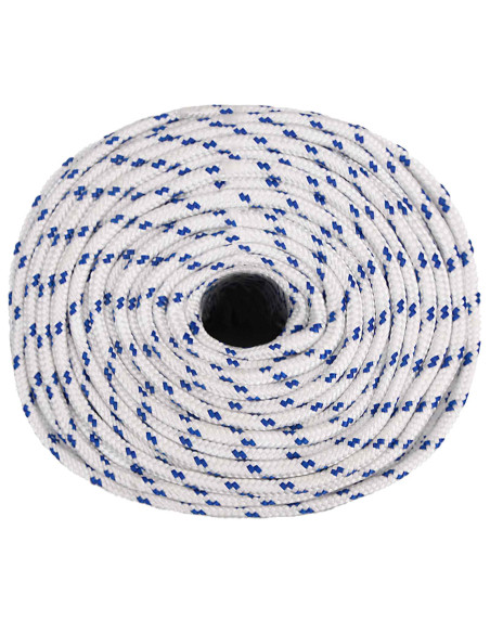 Corda multiuso 8 mm 50 m Bianco e Blu PP 420 kg Carico massimo