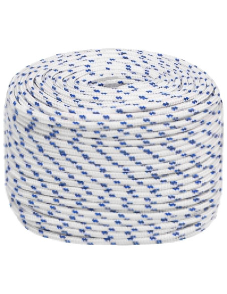 Corda multiuso 8 mm 25 m Bianco e Blu PP 420 kg Carico massimo