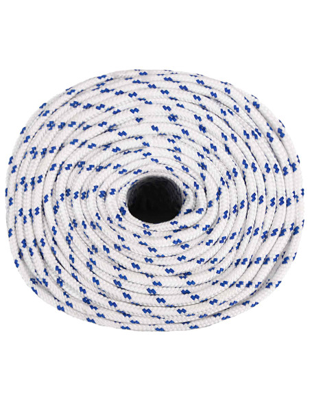 Corda multiuso 8 mm 25 m Bianco e Blu PP 420 kg Carico massimo