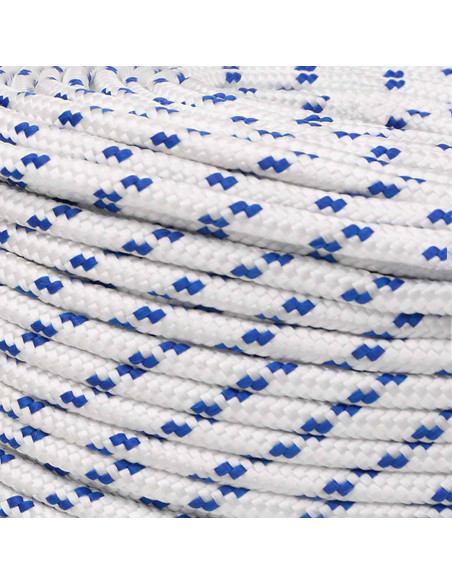 Corda multiuso 8 mm 25 m Bianco e Blu PP 420 kg Carico massimo