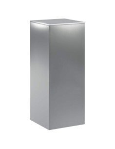 Supporto per piante Argento 40 x 40 x 100 cm Acciaio 2