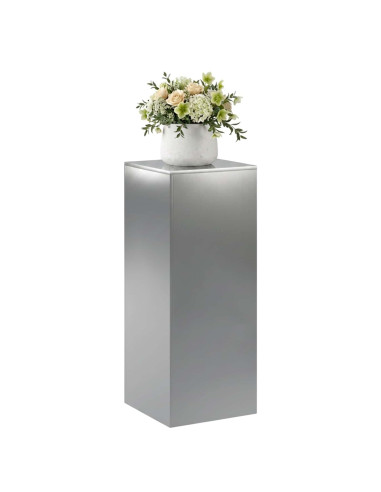 Supporto per piante Argento 40 x 40 x 100 cm Acciaio