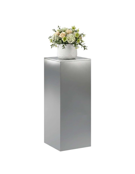 Supporto per piante Argento 40 x 40 x 100 cm Acciaio