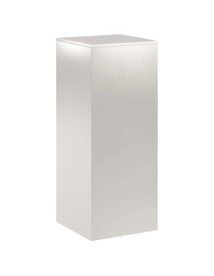 Supporto per piante Argento 40 x 40 x 100 cm Acciaio 2