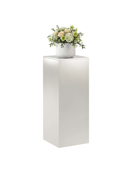 Supporto per piante Argento 40 x 40 x 100 cm Acciaio
