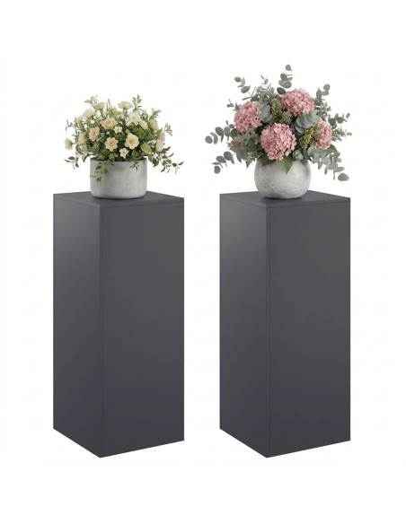 Supporto per piante 2 pcs Antracite 40 x 40 x 100 cm