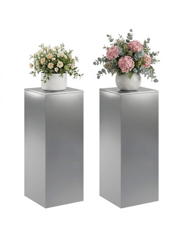 Supporto per piante 2 pcs Argento 40 x 40 x 100 cm Acciaio Inox