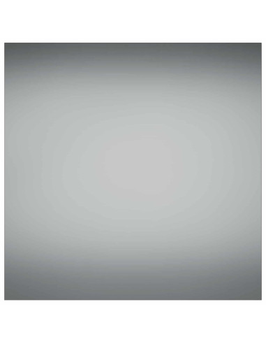 Supporto per piante 2 pcs Argento 40 x 40 x 100 cm Acciaio Inox