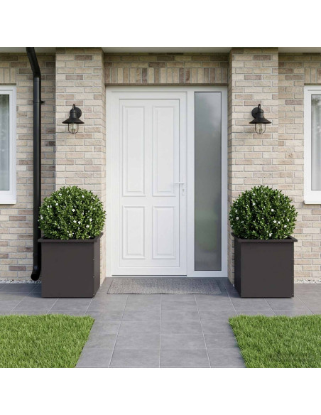 Fioriera da giardino con LED 2 pz Nero 50 x 50 x 48 cm Acciaio