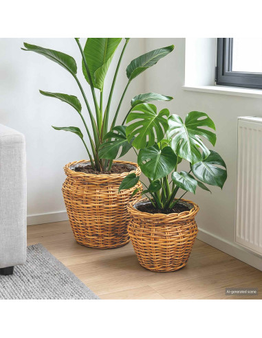 Cesto per Piante con archiviazione 2 pcs Marrone Rattan Lacak
