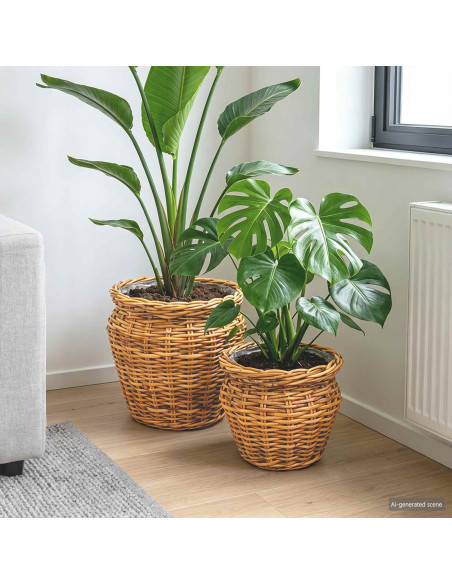 Cesto per Piante con archiviazione 2 pcs Marrone Rattan Lacak