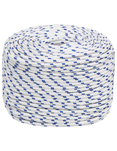 Corda multiuso 10 mm 25 m Bianco e Blu PP 645 kg Carico massimo