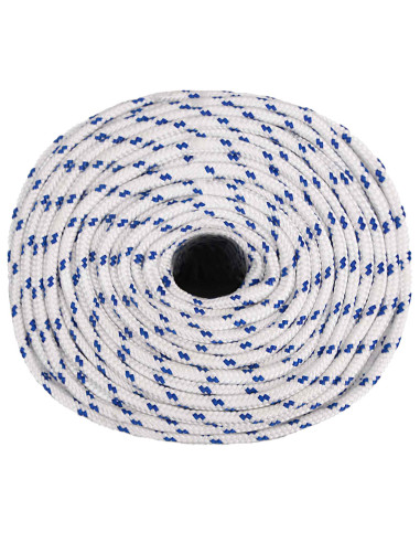 Corda multiuso 10 mm 25 m Bianco e Blu PP 645 kg Carico massimo