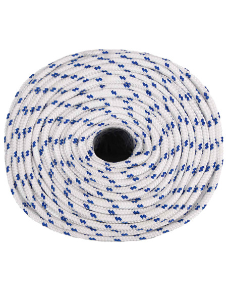 Corda multiuso 10 mm 25 m Bianco e Blu PP 645 kg Carico massimo