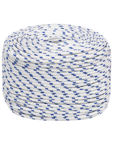 Corda multiuso 10 mm 100 m Bianco e Blu PP