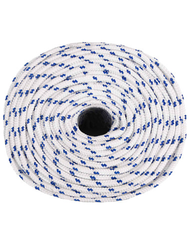 Corda multiuso 10 mm 100 m Bianco e Blu PP