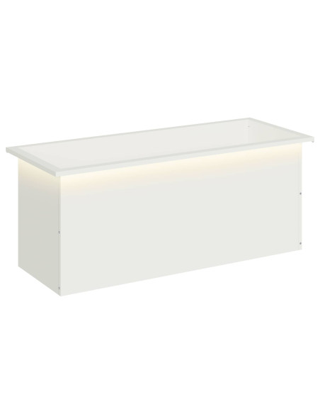 Fioriera da giardino con LED Bianco 40 x 100 x 40 cm Acciaio