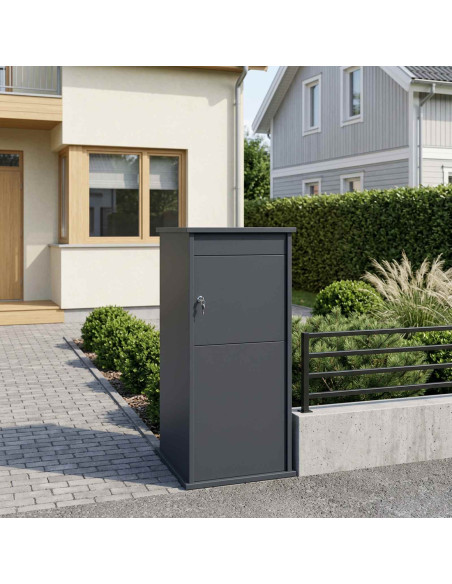 cassetta postalepastkastei Antracite 50 x 52 x 100 cm Acciaio