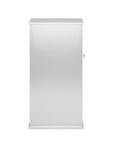 cassetta postalepastkastei Argento 50 x 52 x 100 cm