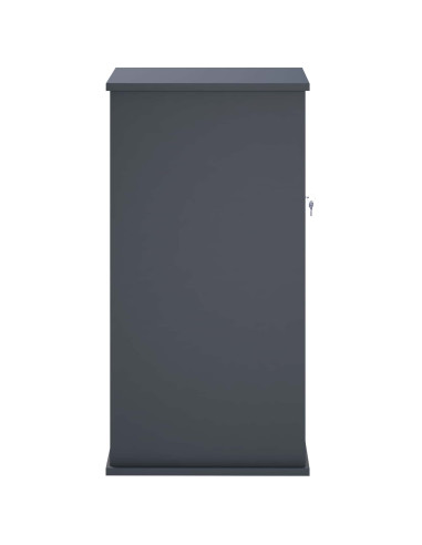 cassetta postalepastkastei Antracite 50 x 52 x 100 cm Acciaio