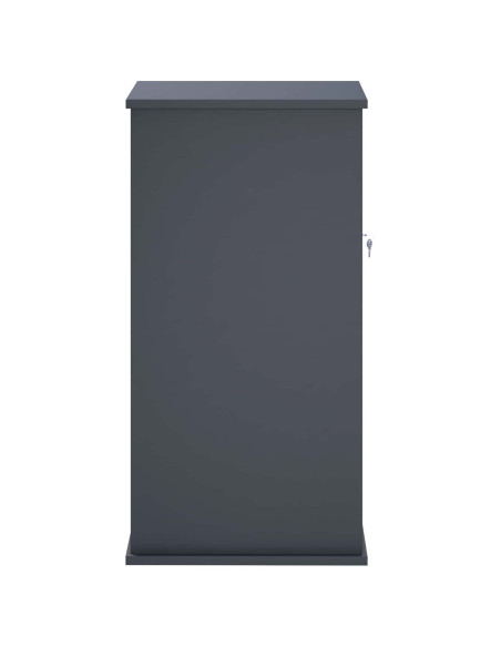 cassetta postalepastkastei Antracite 50 x 52 x 100 cm Acciaio