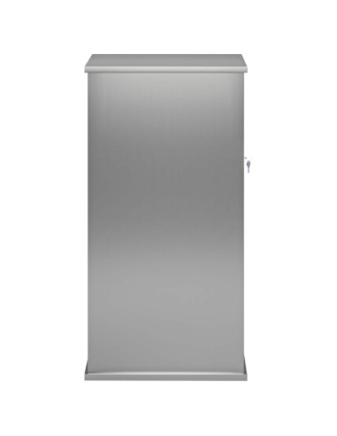 cassetta postalepastkastei Argento 50 x 52 x 100 cm